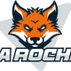 La Roche II 